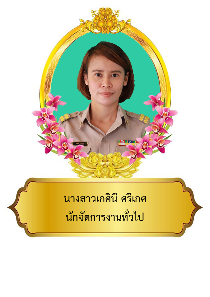 นางสาวเกศินี  ศรีเกตุ